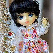 Кукла БЖД (BJD) - Продам крошку crobidoll Limited T Line Bana