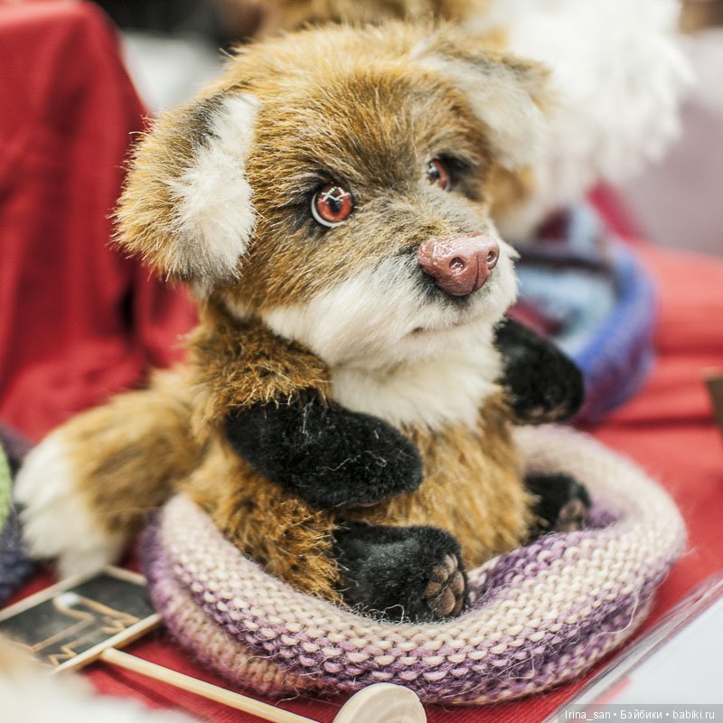 Татьяна Голованевская