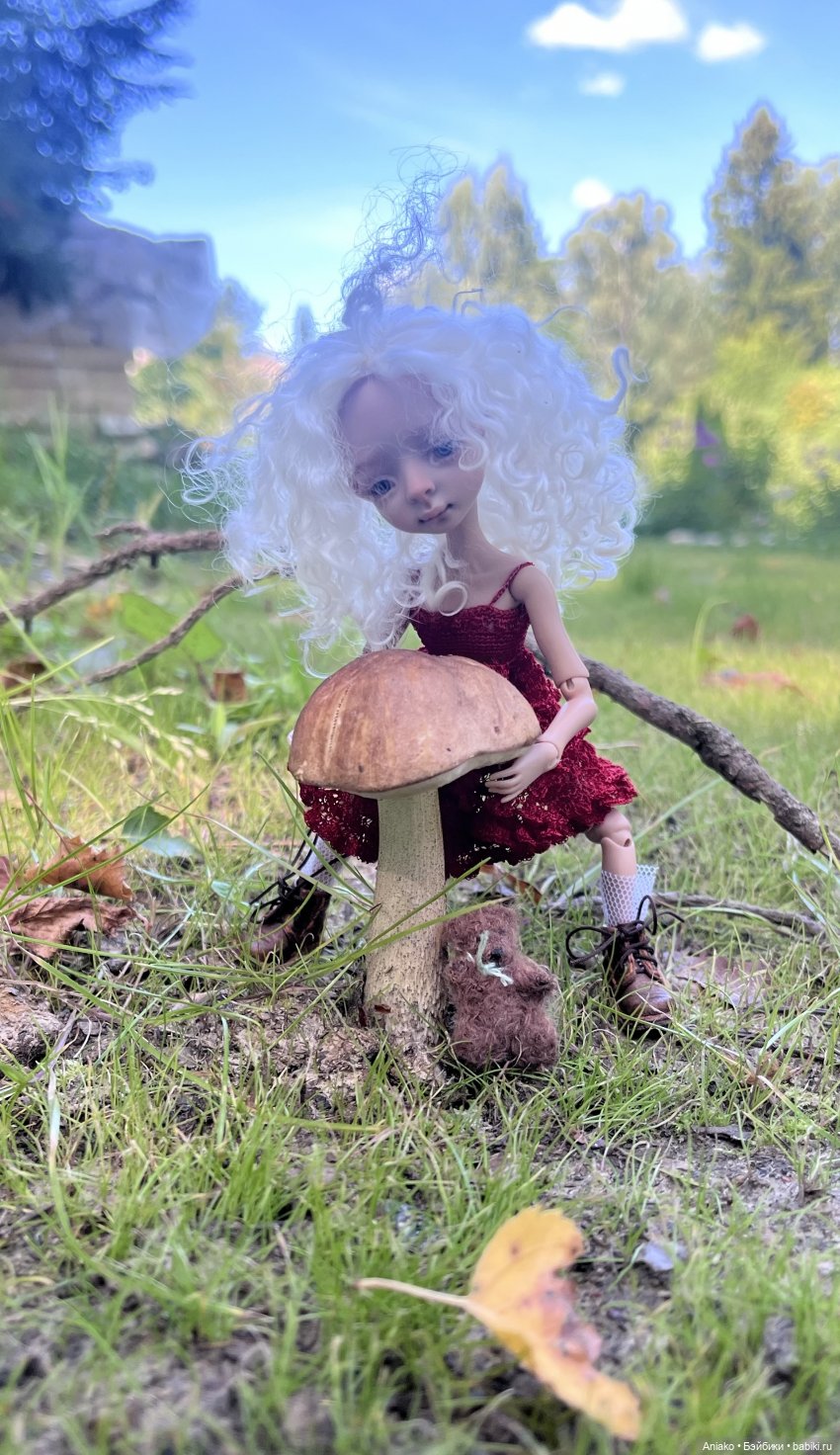 ЖУк-букашка и гриб — Авторские куклы BJD (БЖД) у нас дома: фото (фото 2)