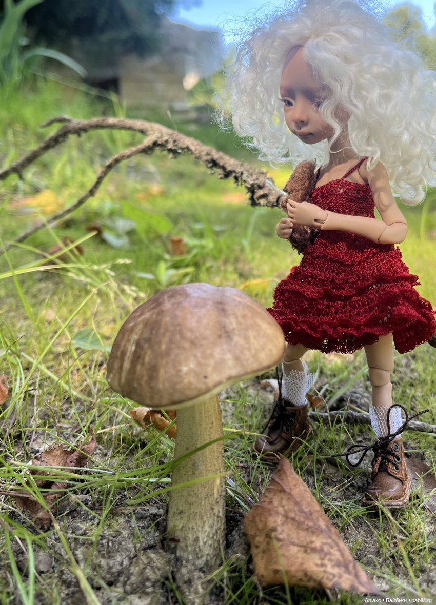 ЖУк-букашка и гриб — Авторские куклы BJD (БЖД) у нас дома: фото