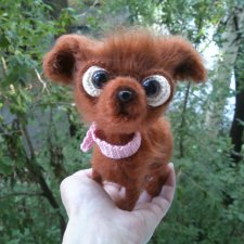 Чихуахуашечка Жужелитта