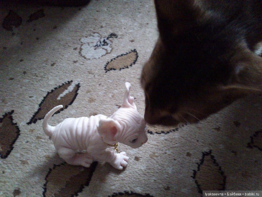 Вот мы и дома — Домашние фото авторских игрушек: Тедди (фото 3)