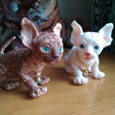 Вот мы и дома