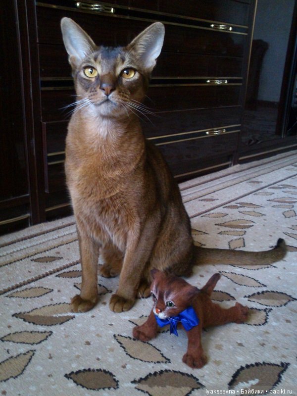 Кошачьи страдания — Домашние фото авторских игрушек: Тедди (фото 5)