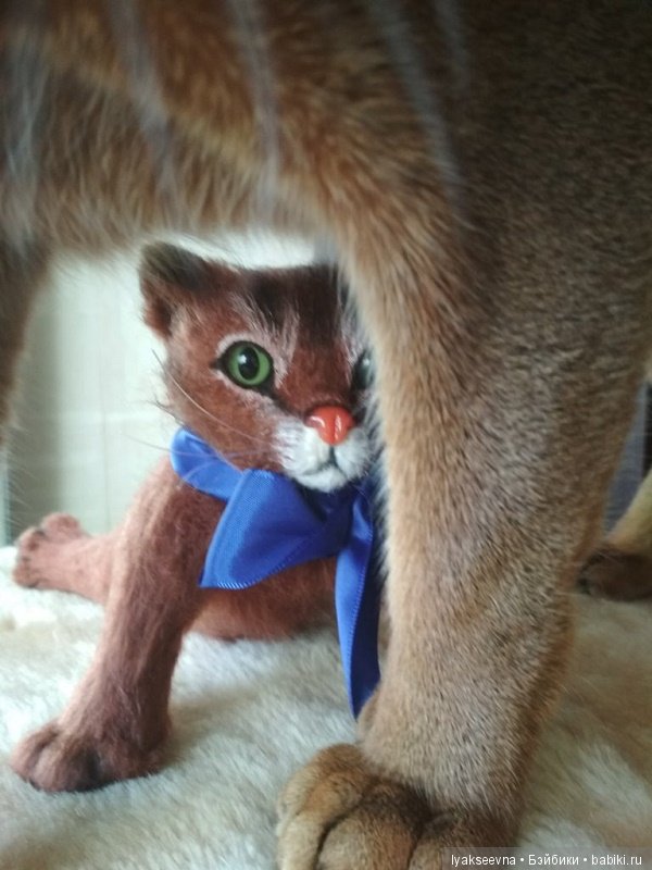 Кошачьи страдания — Домашние фото авторских игрушек: Тедди (фото 2)