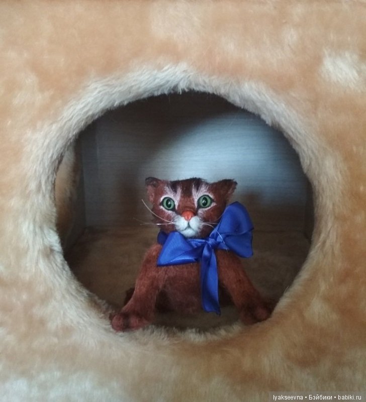Кошачьи страдания — Домашние фото авторских игрушек: Тедди
