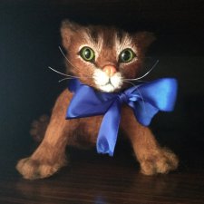 Кошачьи страдания