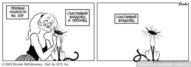 "Признаки кошкости" или рождение Стервэллы