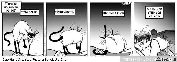 "Признаки кошкости" или рождение Стервэллы (фото 4)