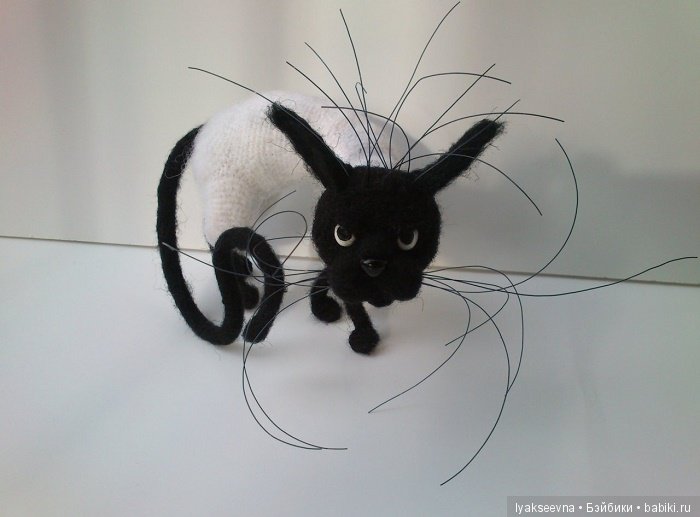 "Признаки кошкости" или рождение Стервэллы (фото 5)