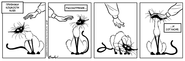 "Признаки кошкости" или рождение Стервэллы (фото 2)