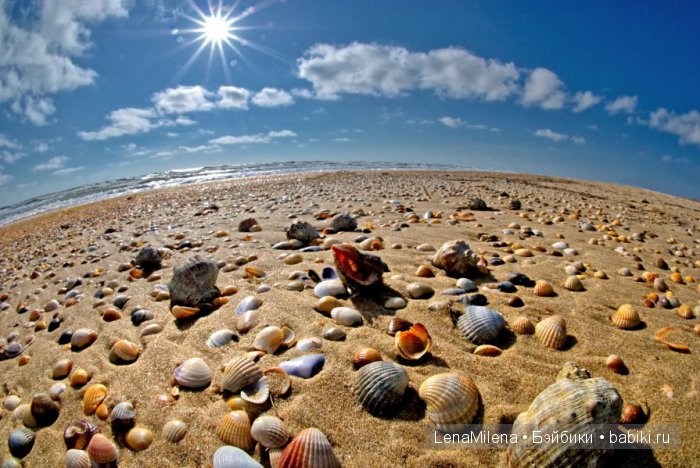 Морской ветер, соленый привкус во рту... Ах море... ты прекрасно (фото 9)