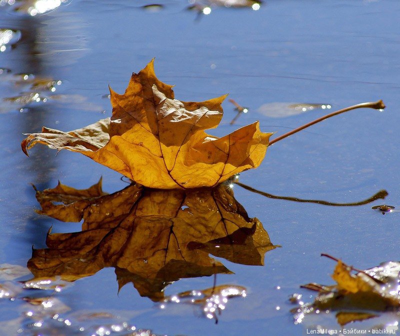 Свитерочки, продолжаем утеплять парней