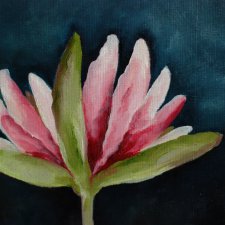 Картины для кукол и для людей