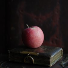 В кадре старинный альбом