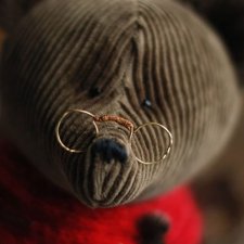 Мишка тедди Пришвин. Мишка тедди Пришвин.