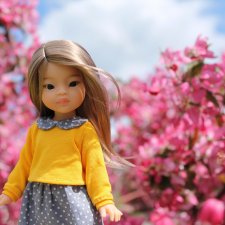 Первая мини паола