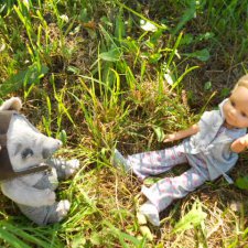 встреча с медвежонком