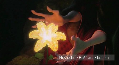 Зеркало для Рапунцель — Другие хобби и увлечения: сад