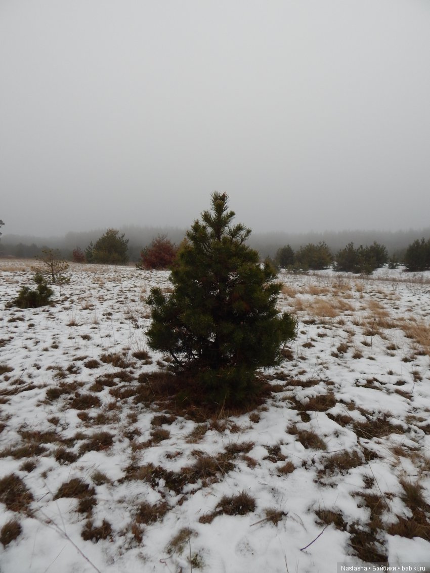 Дачные зарисовки — Болталка и разговоры обо всем: жизнь (фото 4)