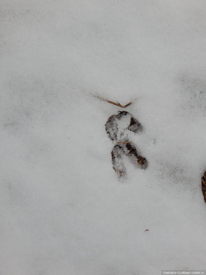 Дачные зарисовки — Болталка и разговоры обо всем: жизнь (фото 7)