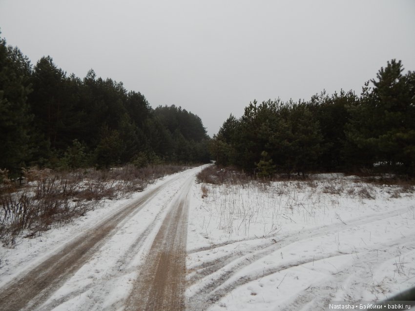 Дачные зарисовки — Болталка и разговоры обо всем: жизнь