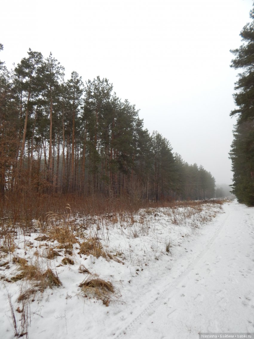 Дачные зарисовки — Болталка и разговоры обо всем: жизнь (фото 3)