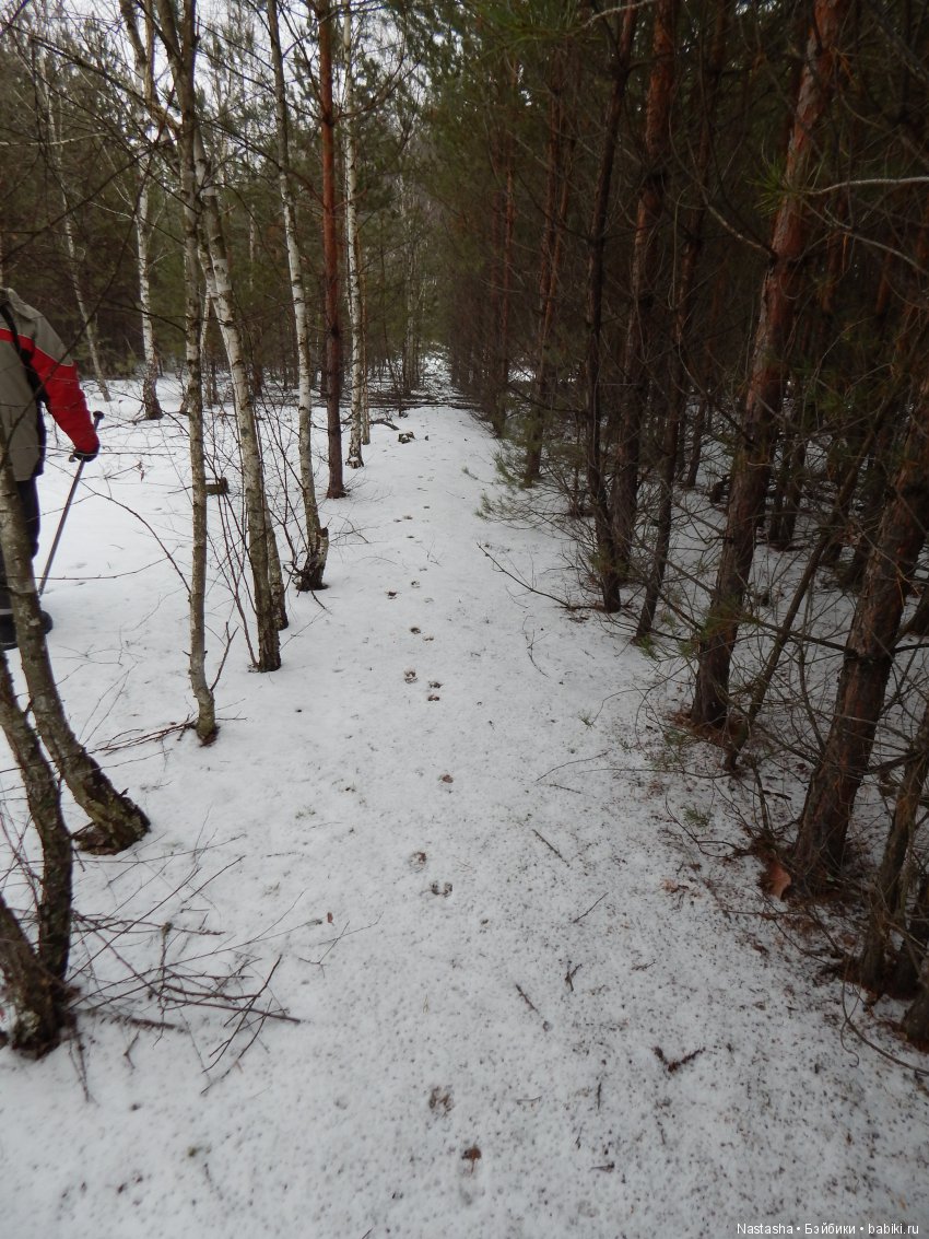 Дачные зарисовки — Болталка и разговоры обо всем: жизнь (фото 9)