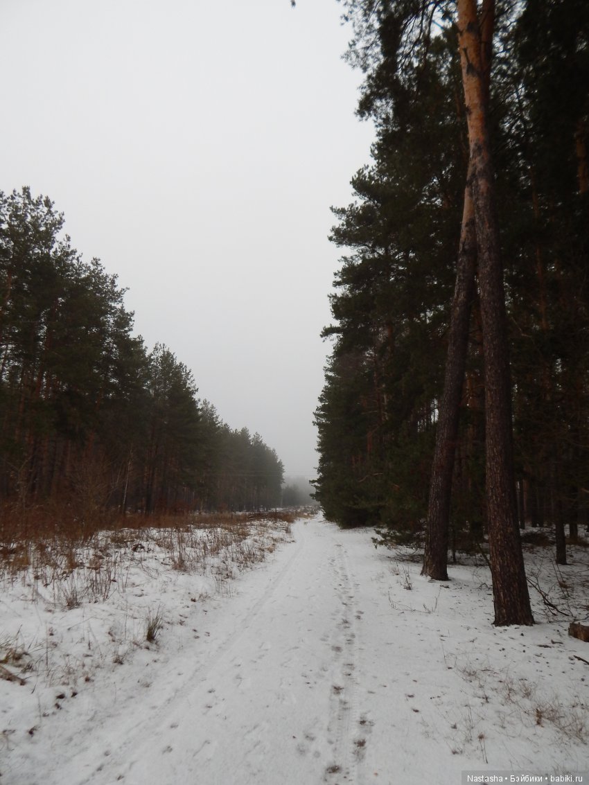 Дачные зарисовки — Болталка и разговоры обо всем: жизнь (фото 2)