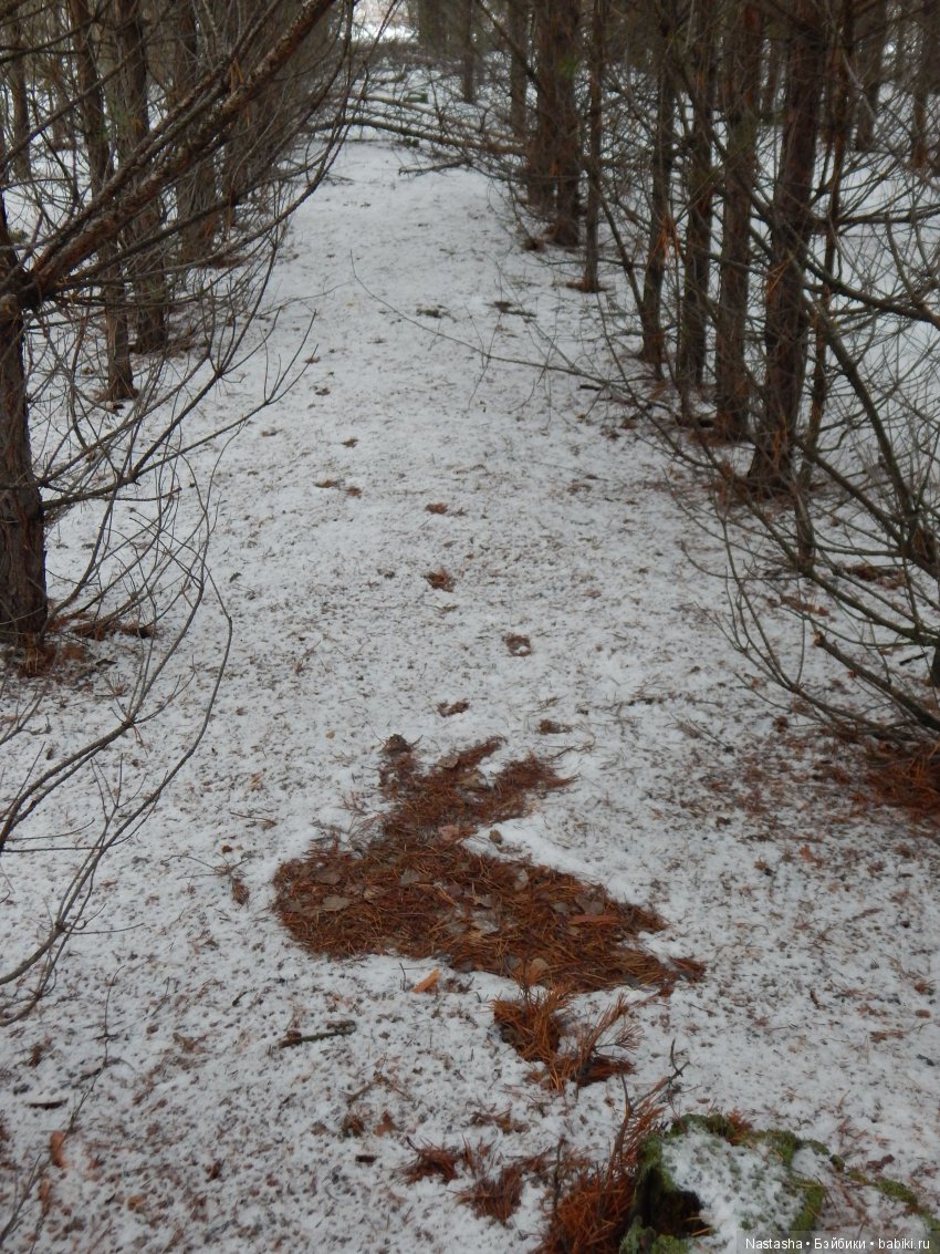 Дачные зарисовки — Болталка и разговоры обо всем: жизнь