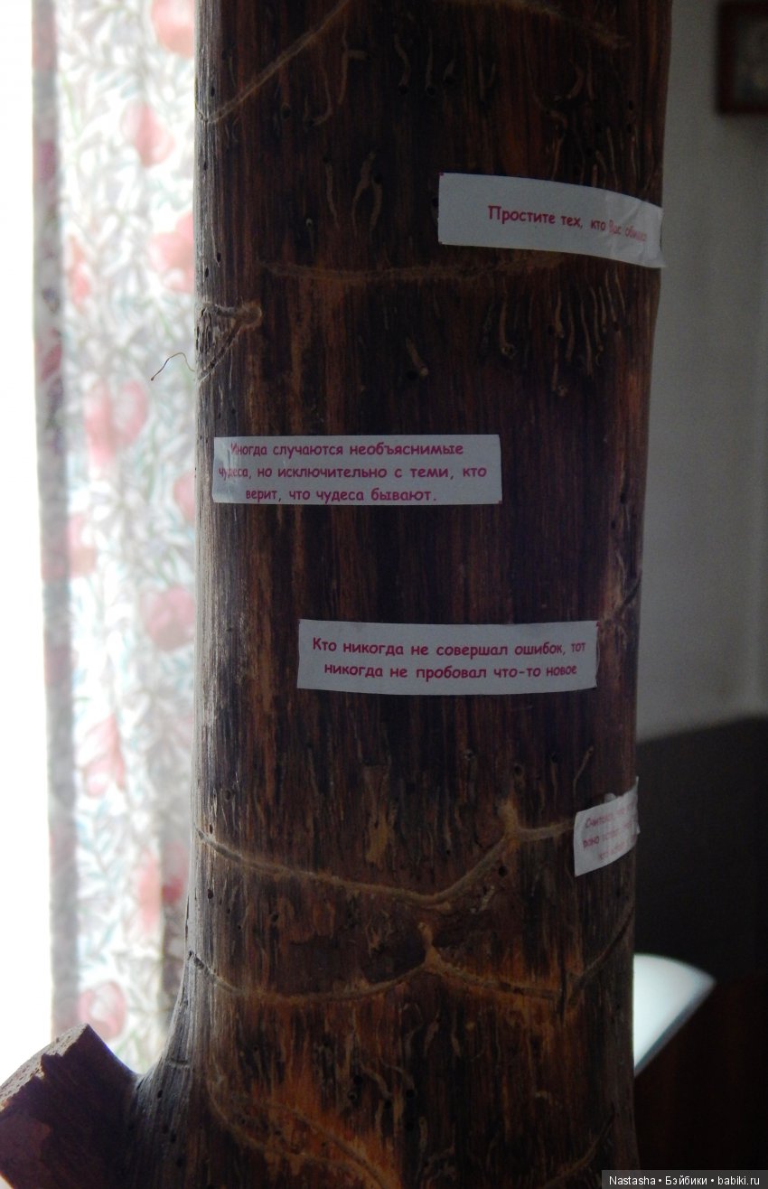 Дачные зарисовки — Болталка и разговоры обо всем: жизнь