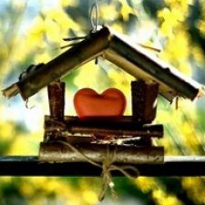 Дачные зарисовки