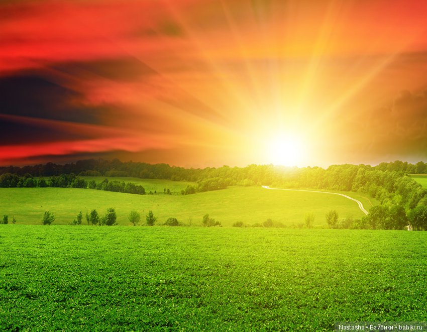 Мои Little Darlings. Часть 1. Санни