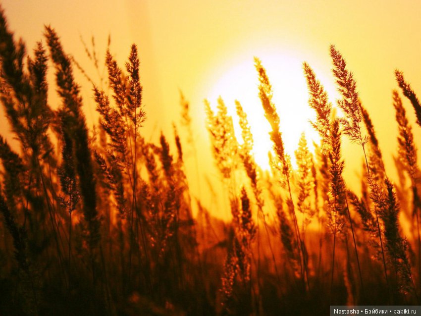 Мои Little Darlings. Часть 1. Санни (фото 4)