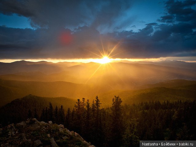 Мои Little Darlings. Часть 1. Санни