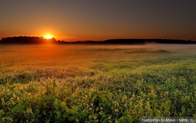 Мои Little Darlings. Часть 1. Санни