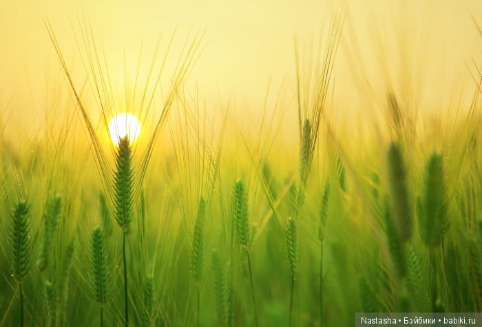 Мои Little Darlings. Часть 1. Санни (фото 2)