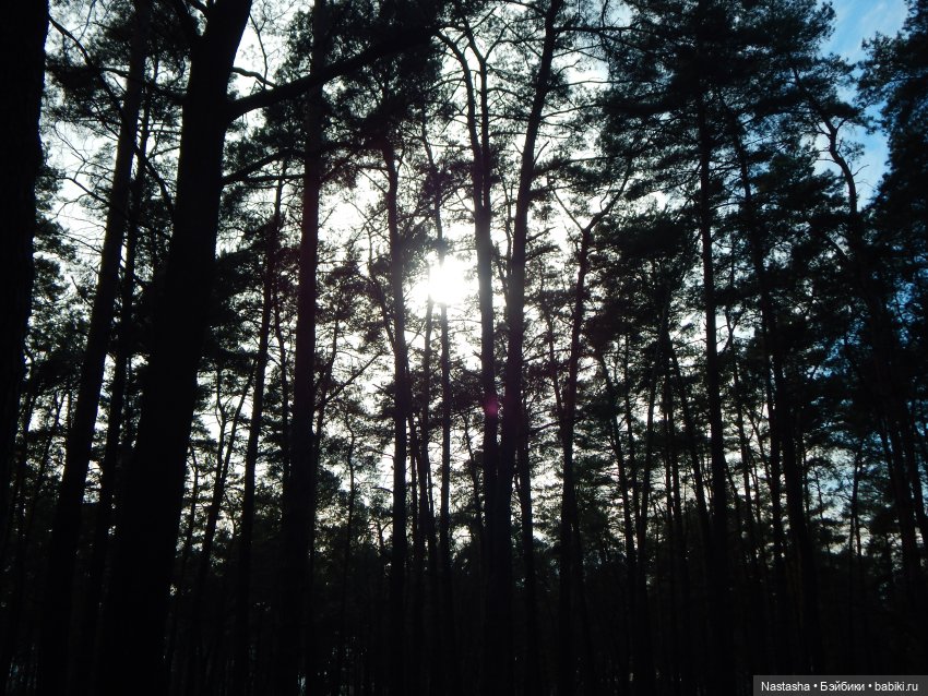 Мисс Барби. Презентация Джульетты | Бэйбики Мисс Барби. Презентация Джульетты