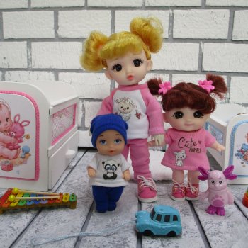 Наше маленькое пополнение