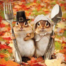 Пошла на третий круг или близится осеннее обострение