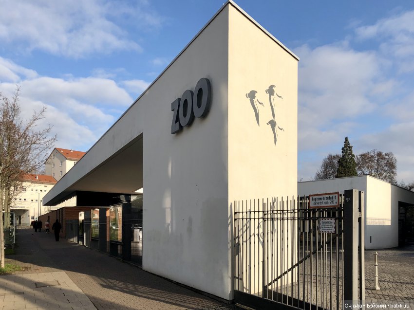 Новогоднее путешествие Санни в Германию