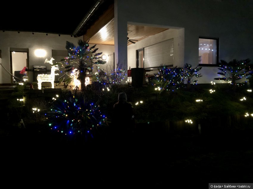 Новогоднее путешествие Санни в Германию (фото 7)