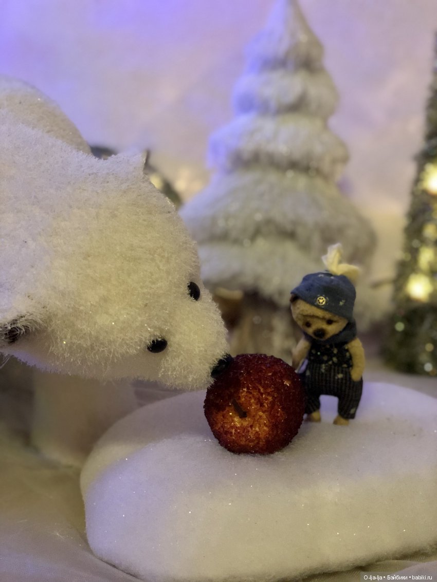 Новогоднее путешествие Санни в Германию