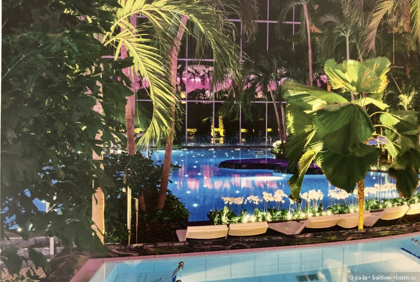 Новогоднее путешествие Санни в Германию