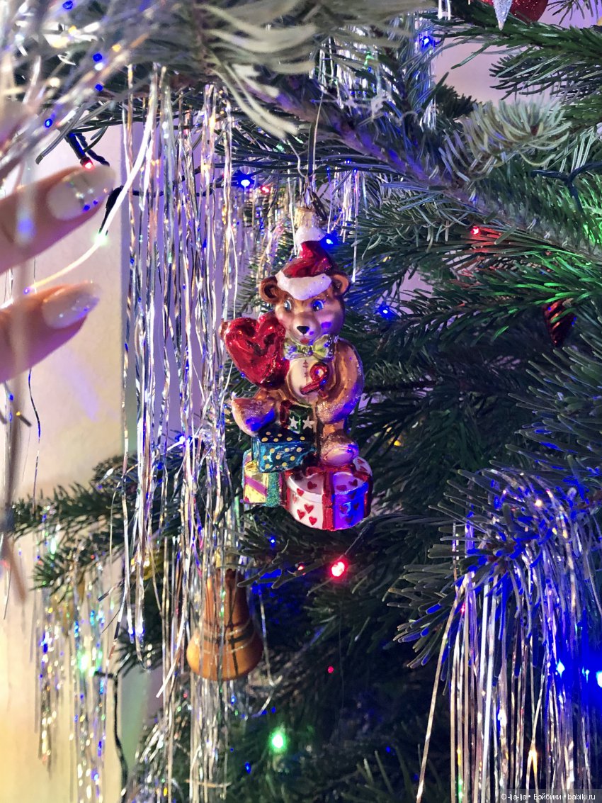 Новогоднее путешествие Санни в Германию (фото 5)