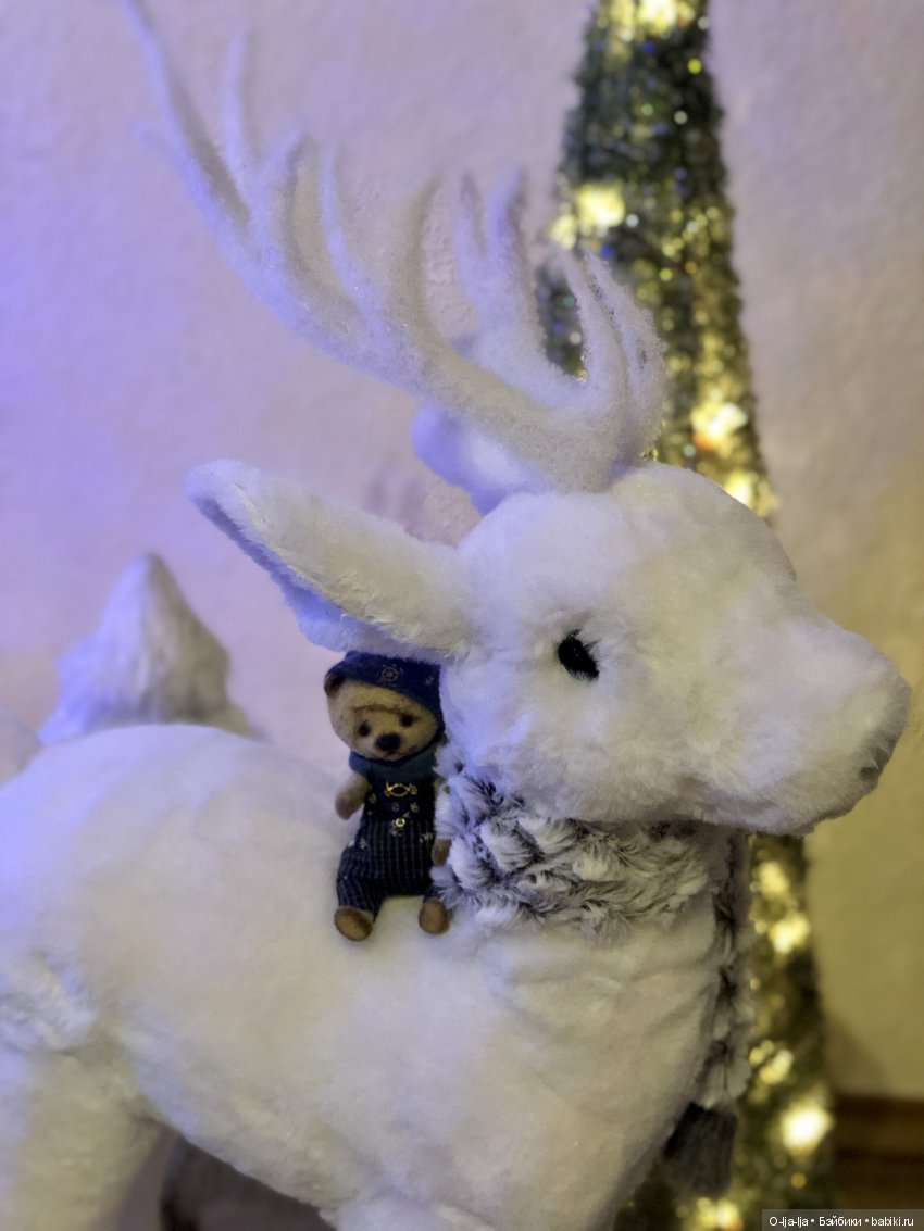 Новогоднее путешествие Санни в Германию (фото 2)