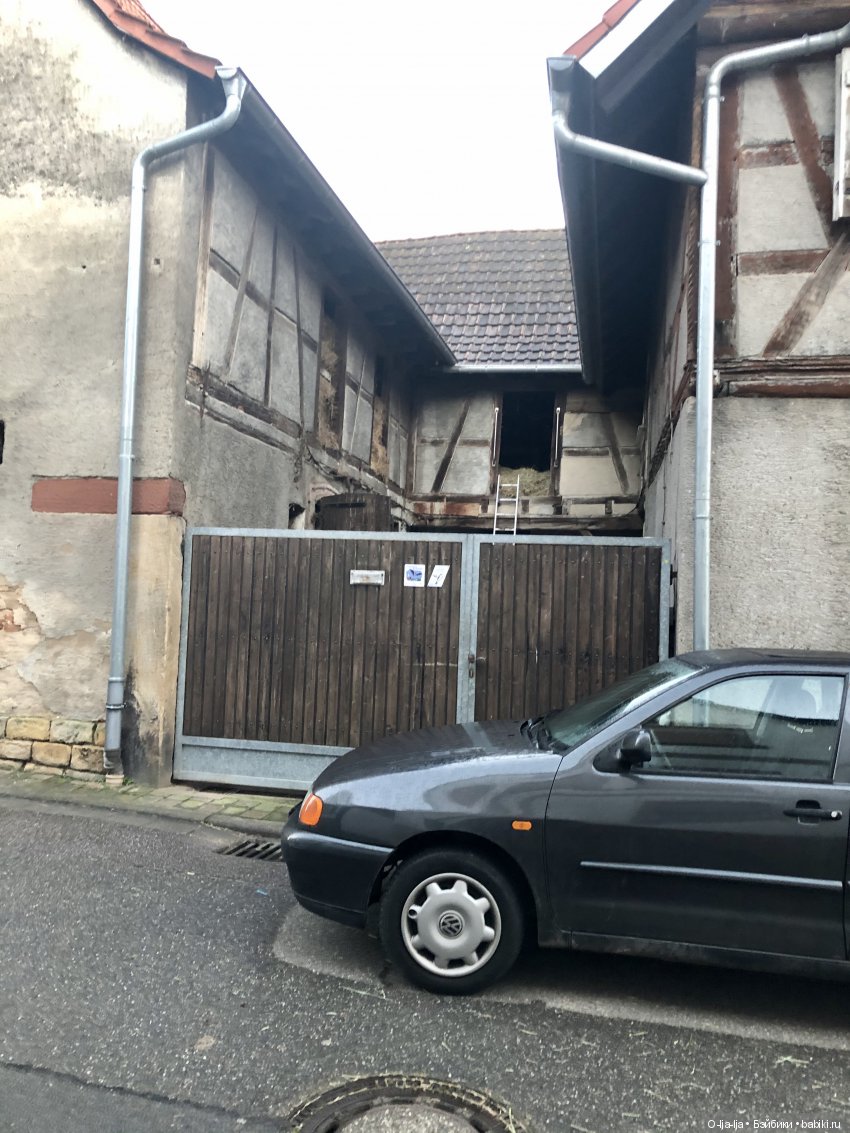 Новогоднее путешествие Санни в Германию