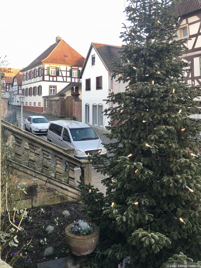 Новогоднее путешествие Санни в Германию