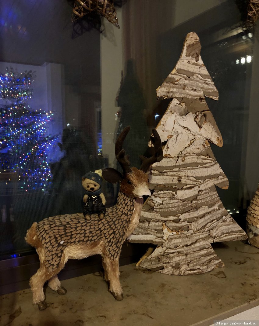 Новогоднее путешествие Санни в Германию (фото 3)