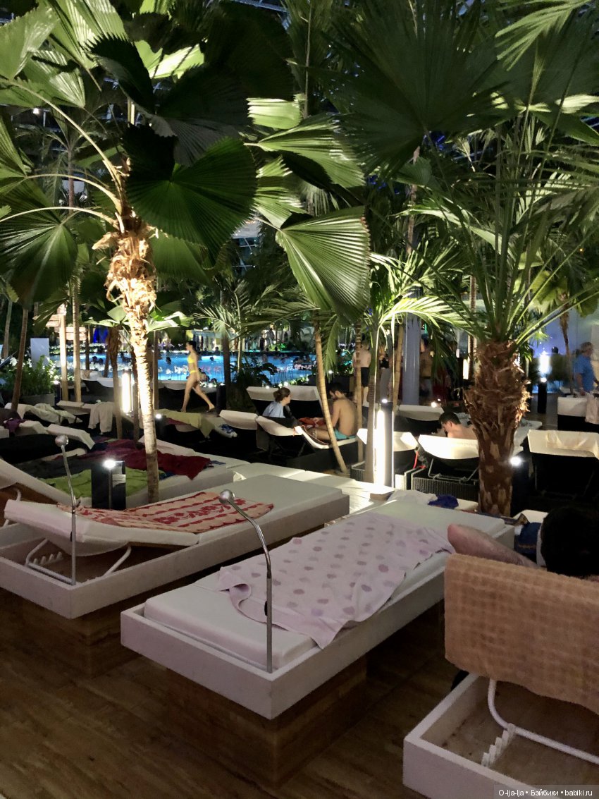 Новогоднее путешествие Санни в Германию